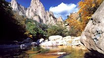 4Day Classic Private tour include Seoul and Suwon, Mt.Seoraksan Park, Sokcho