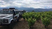 Private Exclusive Manousakis Winery and Vineyard Tour