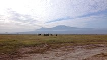 4 Days Amboseli & Tsavo West Wildlife Safari