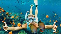 All Inclusive : Bali Blue Lagoon Snorkeling, Lunch, and Transport