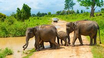 All Inclusive Udawalawa National Park Day Tour from Colombo