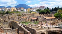 Tour Herculaneum Archaeological Park and Mount Vesuvius