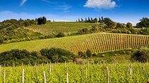 Private Classic Wine Tour in Chianti from Florence