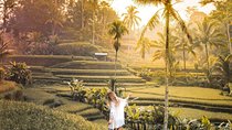Bali Ubud private Tour with Ubud Bali Driver - FREE WIFI