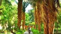 Tour to Nubian Village and Botanical Garden Visit