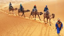 Merzouga Camel Trekking & Overnight in the Desert Camp