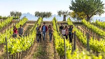 Barcelona Port Shore Excursion: Countryside Wine&Cava Tastings and Lunch