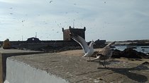 Private Essaouira day trip from Marrakech