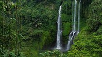 Sekumpul Bali Waterfall Tour 