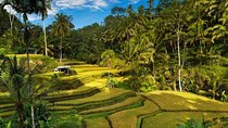 Exploring Bali in 3 Days: Discover Top Places in Bali