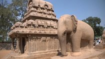 20 Days Complete North India Delhi Agra Rajasthan Safari Tour
