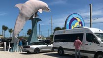 Florida Keys Tour and Private Transportation service