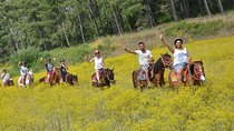 Marmaris Horse Safari