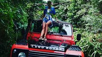 Madeira Jeep 4x4: Old Forest Full-Day Tour incl Pico Arieiro