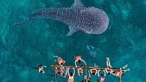 Private Day Tour: Oslob Whaleshark+Tumalog Falls(Sumilon Island)