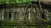 Full-Day Beng Mealea, Kbal Spean & Banteay Srei Private Tour