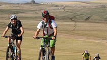 Private - Mountain Biking Day Trip in Baga Khenty Mountains