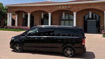 Transfer airport Barcelona to Barcelona city centre. (1 to 15 pax)