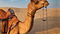Private 3-Day Tour from Marrakech to Merzouga Desert and back