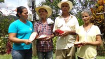 Private tour: Peacebuilding in Antioquia - From Coca Fields to Cocoa!