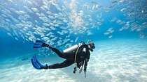Hurghada: Red Sea Fun Cruise with Snorkeling