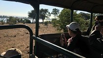Chobe day trip 