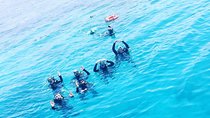 Shore PADI SCUBA Open Water Course