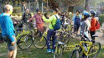 3.5-Hours South Delhi Private Bike Tour with Lodi Art District