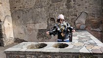 Pompeii ruins and Archaeological Museum private tour from Rome w/ a Local Guide