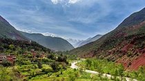 Take A Quick Break From Marrakech to Ourika Valley(BERBER villages).