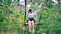 Ubud Experience | Full Day Private Tour in Ubud | FREE WIFI