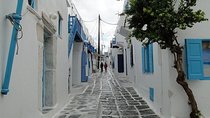 Mykonos Shore Excursion: Private Old Town Walking Tour
