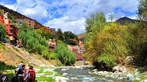 Full day Trip to Ourika Valley & Atlas Mountains