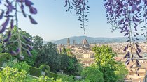Gardens of Florence Private Walking Tour