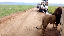 5-Day Classic Lodge Safari: Manyara, Serengeti & Ngorongoro