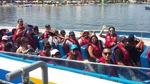 Paracas Full Day Tour