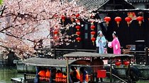 Wuzhen and Xitang Water Town Amazing Private Day Tour from Hangzhou 