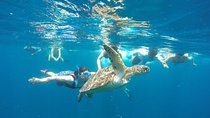 Snorkeling Tour In Gili Trawangan, Gili Meno And Gili Air Pick Up From Bali