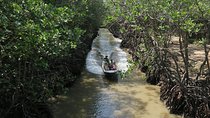 Can Gio Mangrove Biosphere Reserve 1 day