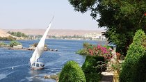 Aswan : River Nile Felucca Trip to Botanical island & Entrance fees