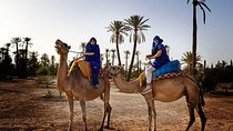Experience Camel Riding in Marrakech Palm Oases