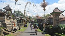 Ubud Cycling private tour