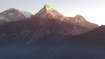 Ghorepani Poon Hill Trek