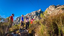 Private Hiking Tour of Table Mountain