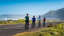Private Cycling Tour of The Cape Peninsula from Cape Town