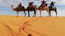 Marrakech to Merzouga 3 Days 2 Nights Shared Desert Tour