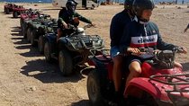 Magic Trip "quad bike safari, camel riding, Intro Dive"