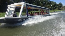 Tamarindo wildlife Estuary boat ride tour 2 hours