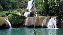Ys Falls, Black River Safari and Appleton Estate Private Tour