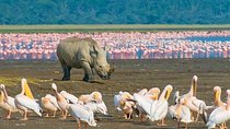 Nairobi: Day Trip to Lake Nakuru National Park Wildlife Safari